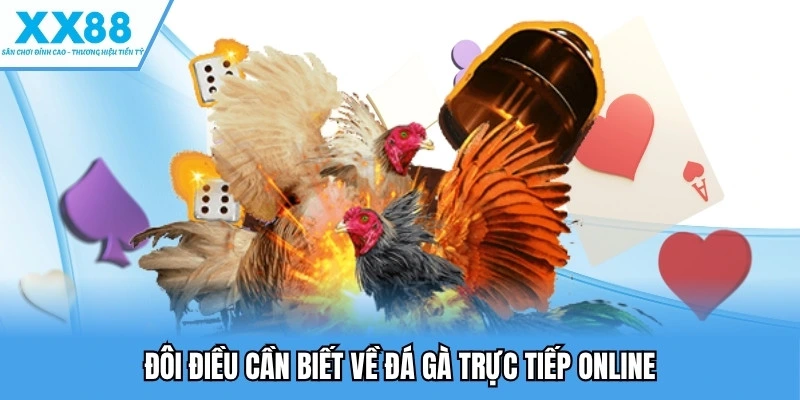 Đá Gà Trực Tiếp Online XX88 - Sân Chơi Hot, Đừng Bỏ Lỡ 2 Đôi điều cần biết về đá gà trực tiếp online