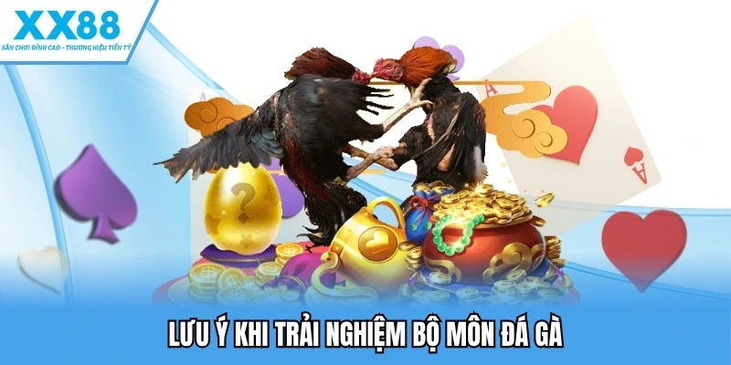 Đá Gà Thomo - Đẳng Cấp Giải Trí Kịch Tính Hàng Đầu 4 Lưu ý khi trải nghiệm bộ môn đá gà