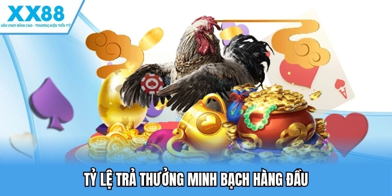 Đá Gà XX88 - Trải Nghiệm Những Kèo Cược Kịch Tính Nhất 5 Tỷ lệ trả thưởng minh bạch hàng đầu