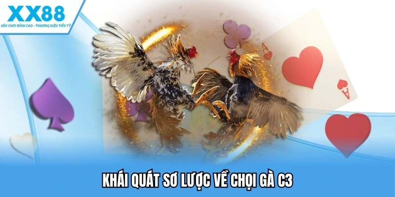 Đá Gà C3 - Vòng Tranh Tài Cam Go Giữa Các Chiến Kê Nảy Lửa 2 Khái quát sơ lược về chọi gà C3