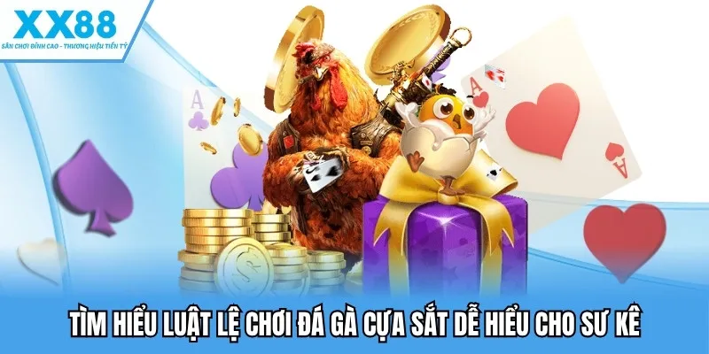 Đá Gà Cựa Sắt - Nơi Các Chiến Kê Làm Chủ Cuộc Chơi Thú Vị 3 Tìm hiểu luật lệ chơi đá gà cựa sắt dễ hiểu cho sư kê