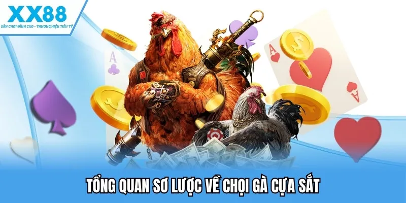 Đá Gà Cựa Sắt - Nơi Các Chiến Kê Làm Chủ Cuộc Chơi Thú Vị 2 Tổng quan sơ lược về chọi gà cựa sắt